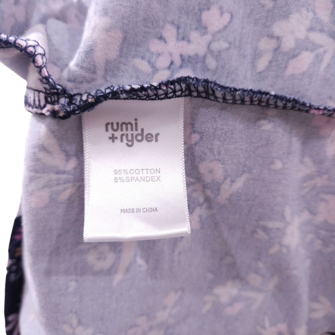 Rumi and Ryder - Blue Flower and Dinosaurs Striped Long Sleeve Dress, 6/7