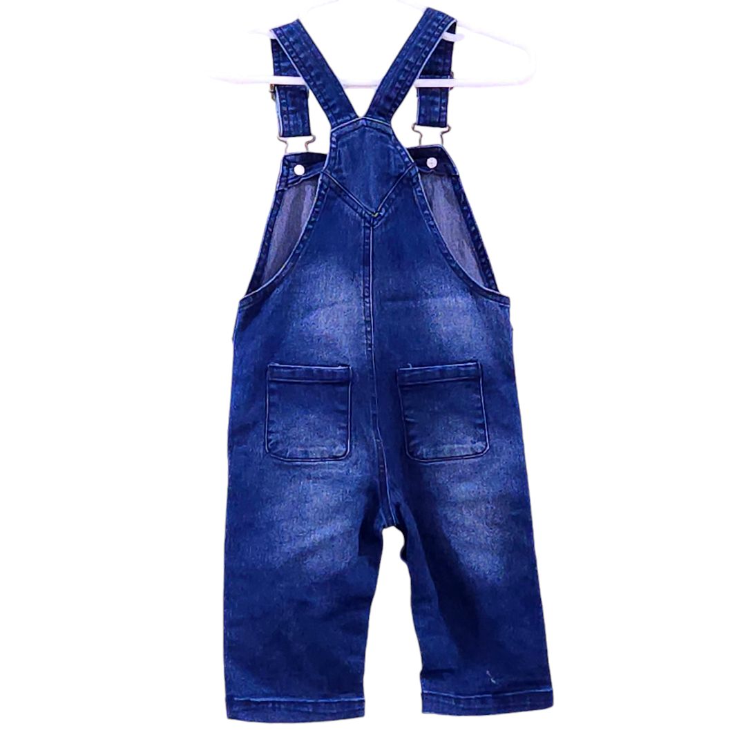 Ocean Coast - Blue Long Sleeve Shirt and Overall with Snaps Set, 12 m